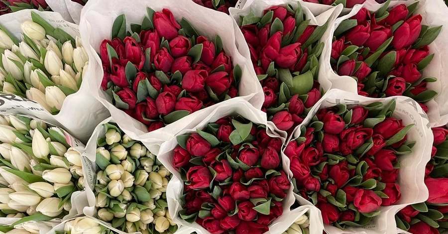 Тюльпани до свят будуть 