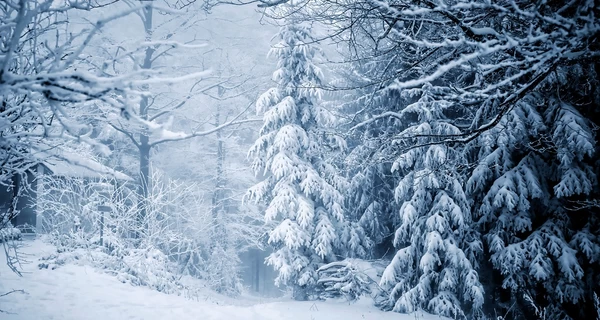 В Украину идет потепление – днем ​​11 февраля будет до -5, а на западе +1+5 градусов