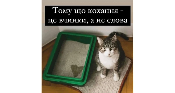 Анекдоти та меми тижня до Дня всіх закоханих: All you need is love, крах Росії і книжечка