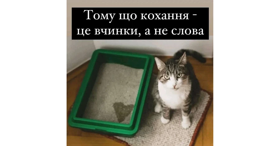 Анекдоти та меми тижня до Дня всіх закоханих: All you need is love, крах Росії і книжечка