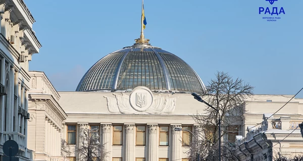 В Верховной Раде заболели 38 нардепов, - Галина Третьякова 