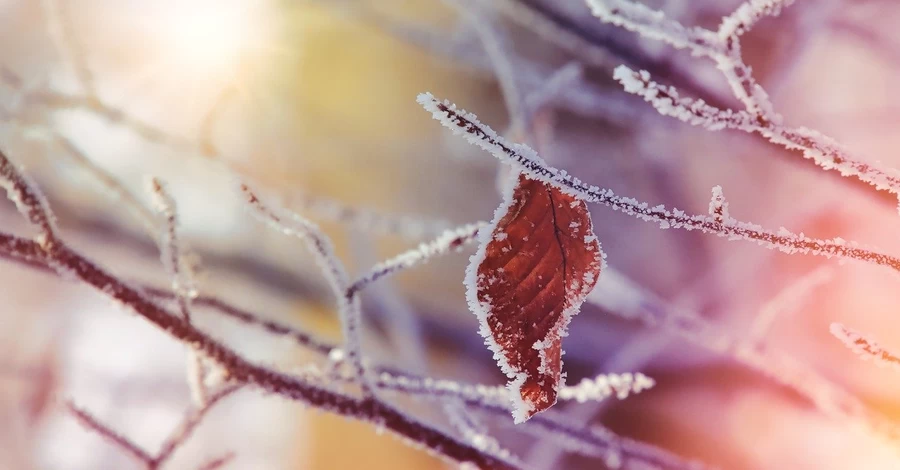 Погода в Украине 17 февраля: без осадков и до 7 градусов мороза