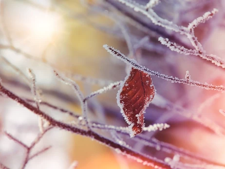Погода в Украине 17 февраля: без осадков и до 7 градусов мороза