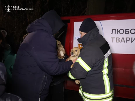 У Кропивницькому знову рятували тварин, які пережили підрив Каховської ГЕС