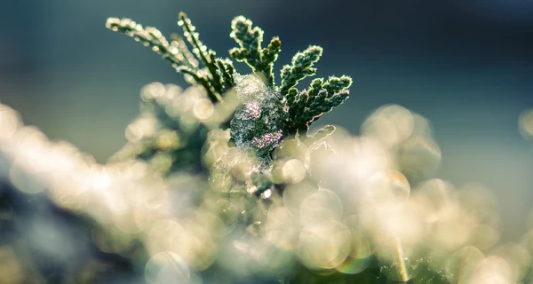 18 февраля - какой сегодня церковный праздник, что нельзя сегодня делать, традиции и приметы, все об этом дне