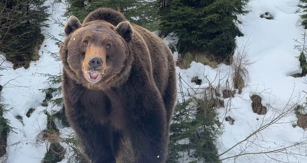 В Национальном парке 