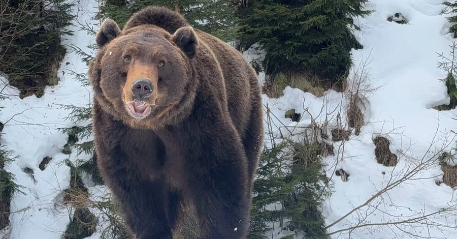 У Національному парку 