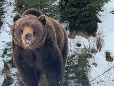 В Национальном парке 