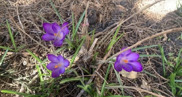 Остались две самые холодные ночи - прогноз погоды в Украине на выходные