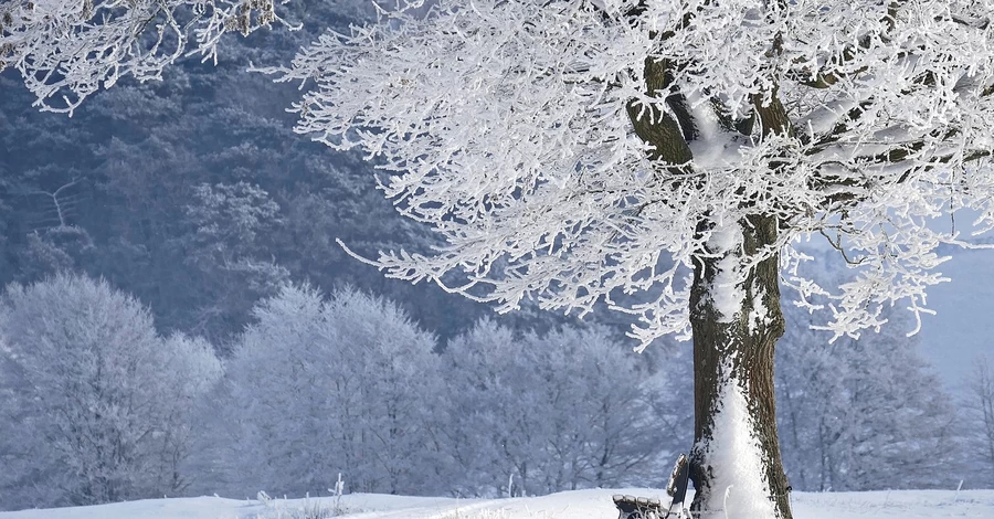 25 лютого - яке сьогодні свято, що не можна робити, традиції та прикмети цього дня