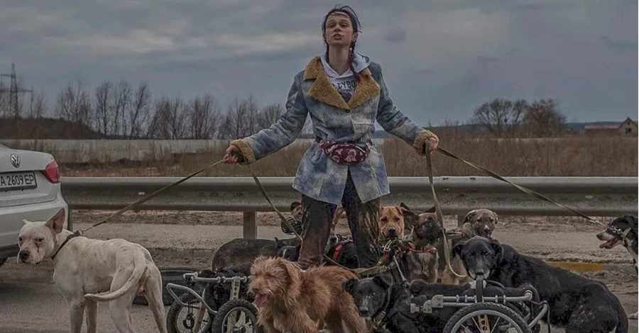 Героїня фото евакуації собак з Ірпеня: Притулок на межі, допомагати новим «хвостам» нема за що