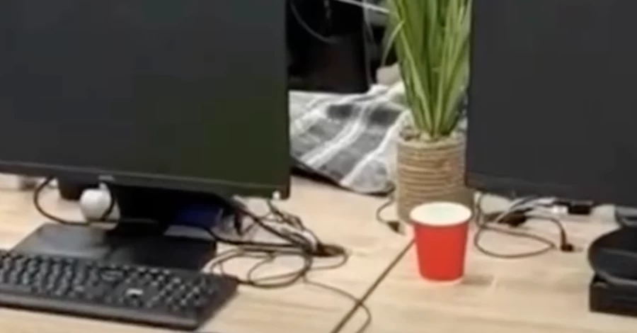 У Дніпрі викрили кол-центр, який може належати викраденому на Балі українцю