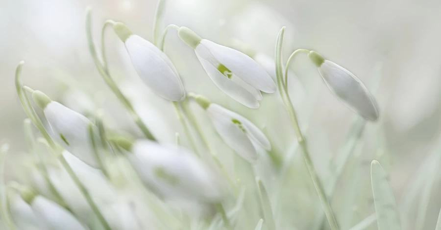 1 березня - перший день весни яке церковне свято, що сьогодні не можна робити, звичаї та традиції, все про цей день