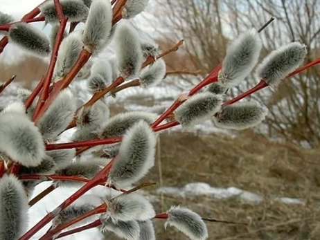 1 березня – як точка опори: чому ми так чекаємо на весну