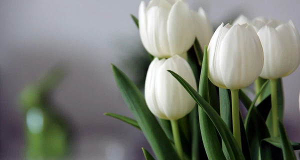 3 марта - какой церковный праздник, что сегодня нельзя делать, традиции и приметы этого дня, все об этом дне