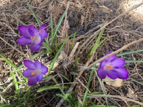 4 березня - яке сьогодні церковне свято, що не можна робити, традиції та прикмети цього дня