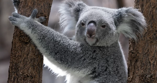 5 марта – какой сегодня церковный праздник, традиции и приметы этого дня и что нельзя делать