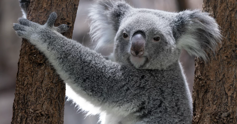 5 марта – какой сегодня церковный праздник, традиции и приметы этого дня и что нельзя делать