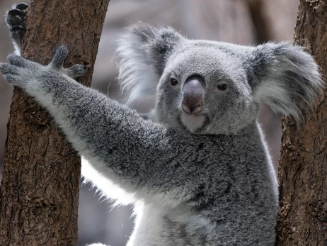 5 березня - яке сьогодні церковне свято, традиції та прикмети цього дня і що не можна робити