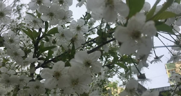 6 марта – какой сегодня праздник, что нельзя делать, традиции и приметы этого дня