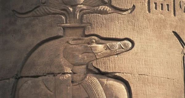 Таємниця мумії крокодила з Лаври: хто і навіщо заколов священну тварину кинджалом