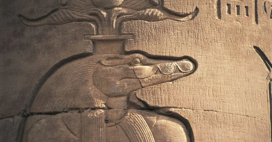 Таємниця мумії крокодила з Лаври: хто і навіщо заколов священну тварину кинджалом