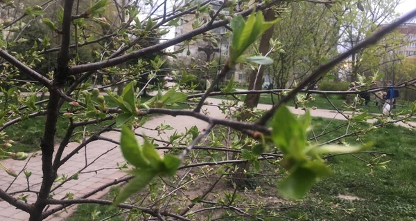 В выходные в Украине будет царить антициклон - будет тепло, сухо и без ветра