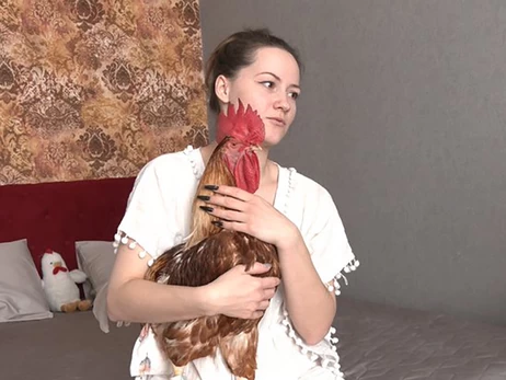 Спить на подушці і кукурікає о 8-й ранку: як живе квартирний півень Ципа з Житомира