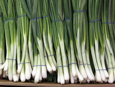 Кропива для гемоглобіну, черемша для імунітету: чим корисна перша весняна зелень