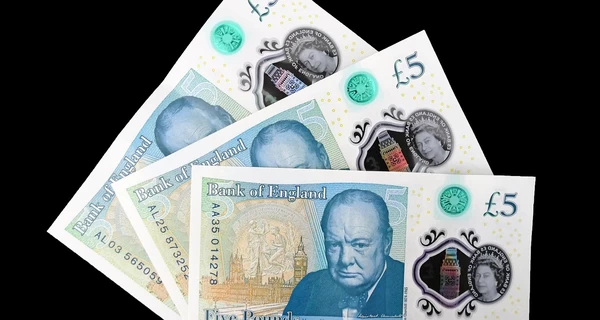На новых банкнотах Банка Англии могут появиться животные и птицы вместо исторических личностей