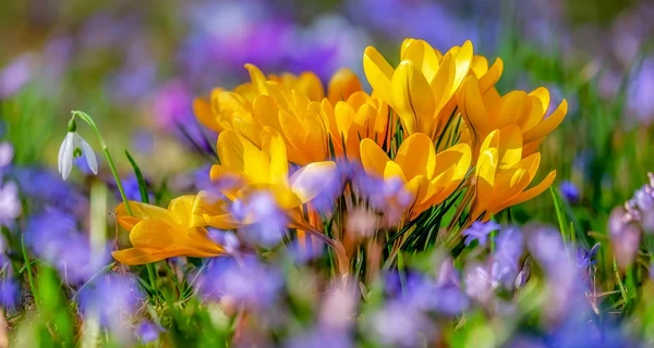 12 марта - какой сегодня праздник, традиции и приметы этого дня, что сегодня нельзя делать, все об этом дне