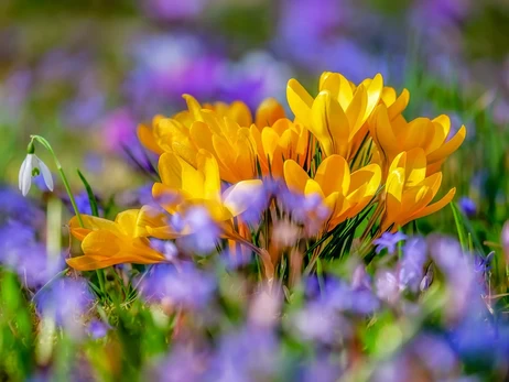 12 березня - яке сьогодні свято, традиції та прикмети цього дня, що сьогодні не можна робити, все про цей день