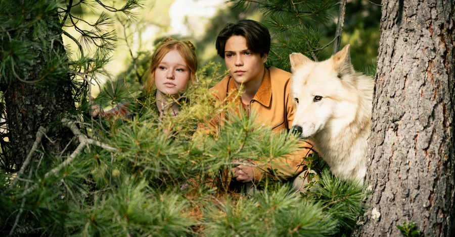 Що подивитися перед кінопрем'єрою «Хранителі лісу 2»: найцікавіші фентезі-франшизи 