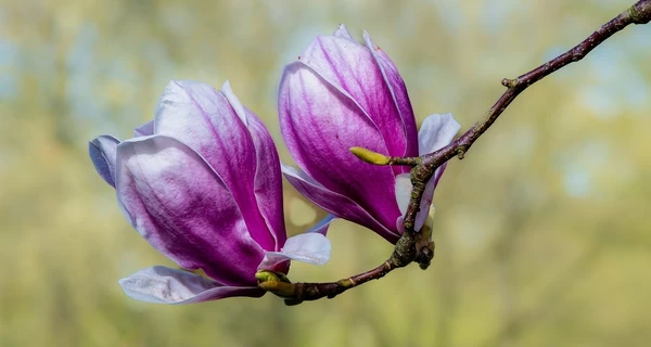 18 марта - какой сегодня праздник, что нельзя делать, традиции и приметы, все об этом дне