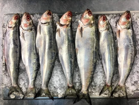 Рибалки з Вилкового: 