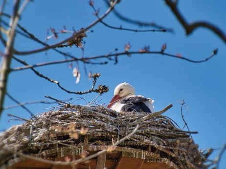 19 березня - яке церковне свято, що сьогодні не можна робити, все про цей день в історії