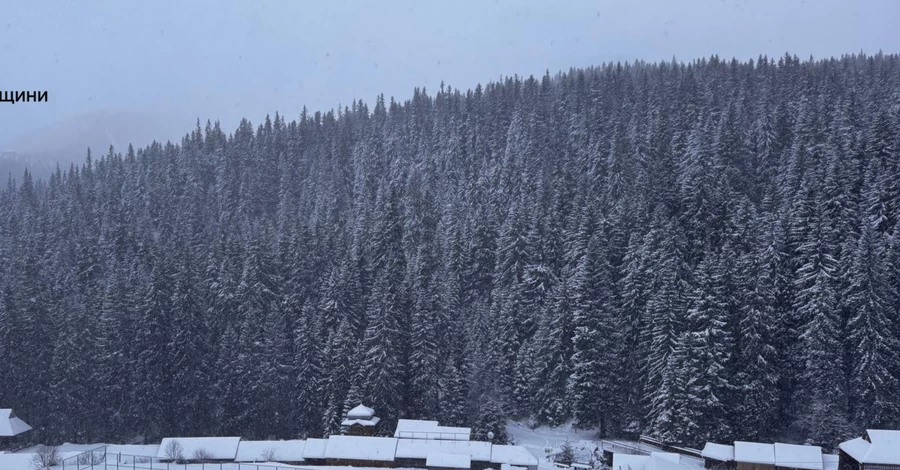 В румынских Карпатах нашли мертвым 28-летнего украинца 