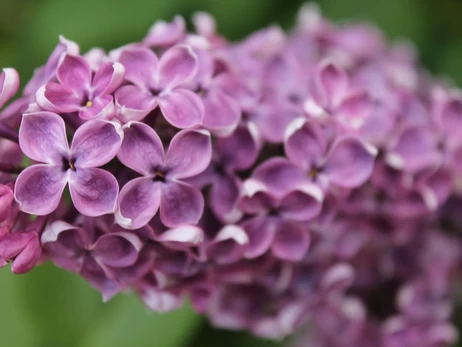 20 березня - День весняного рівнодення, яке церковне свято, що сьогодні не можна робити, все про цей день