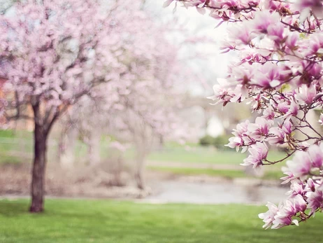 21 березня - яке сьогодні церковне свято, що сьогодні не можна робити, традиції та прикмети, все про цей день