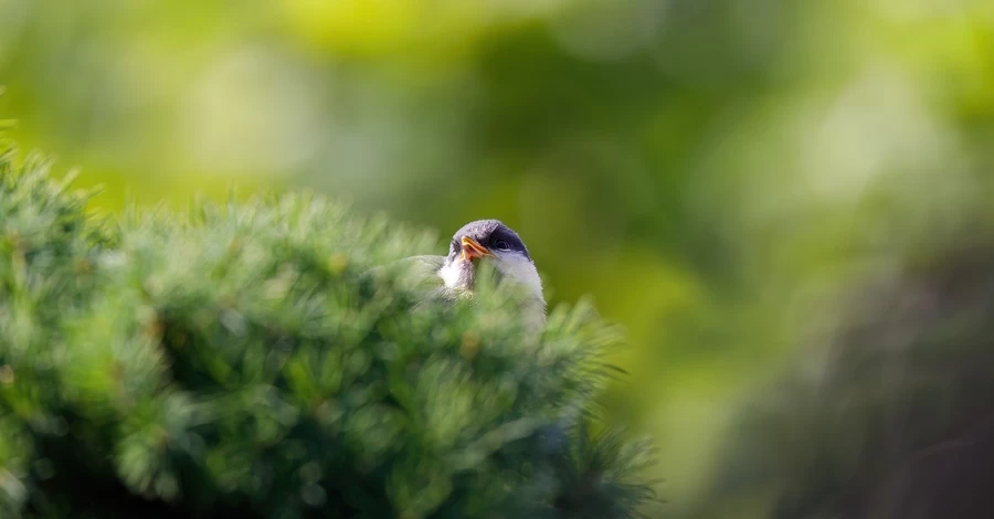 22 березня - яке церквоне свято, традиції та прикмети цього дня, що сьогодні не можна робити
