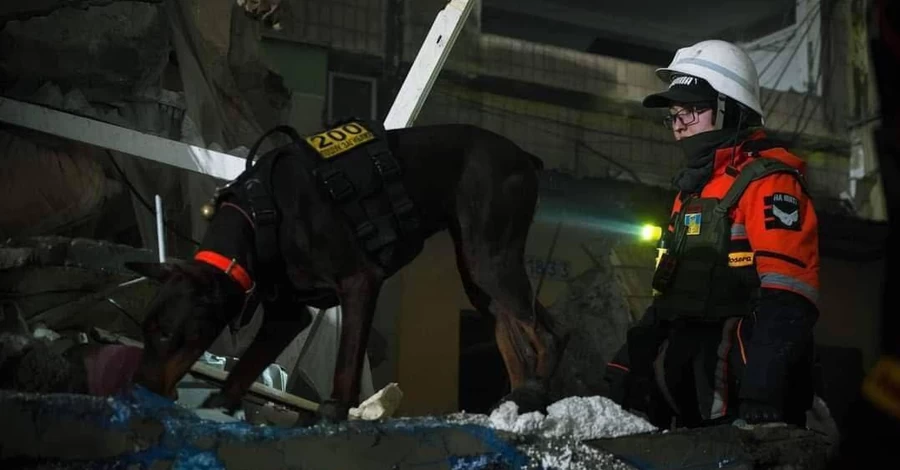 Померла доберман Ханна, яка врятувала понад 170 українців 