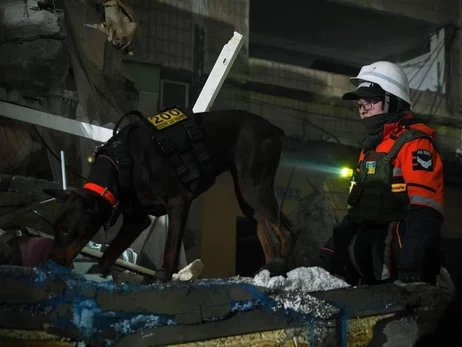 Умерла доберман Ханна, спасшая более 170 украинцев 