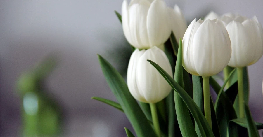 В выходные в Украине осадков не ожидается, лишь в Карпатах возможен мокрый снег