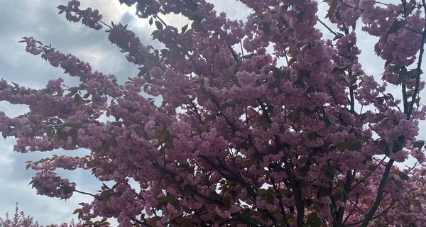 23 марта: какой сегодня праздник, что нельзя делать, традиции и приметы - все об этом дне