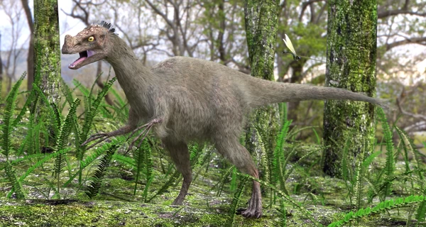 В Корее открыли новый вид динозавра -