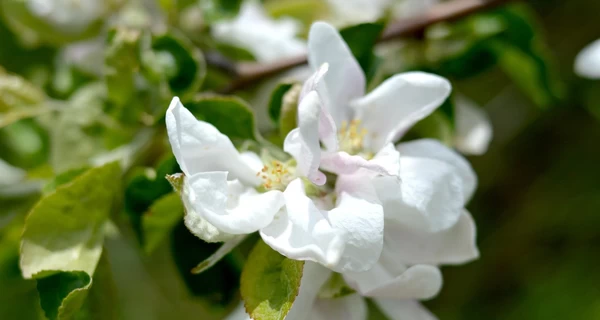 24 марта - какой сегодня праздник, что нельзя делать, традиции и приметы, все об этом дне
