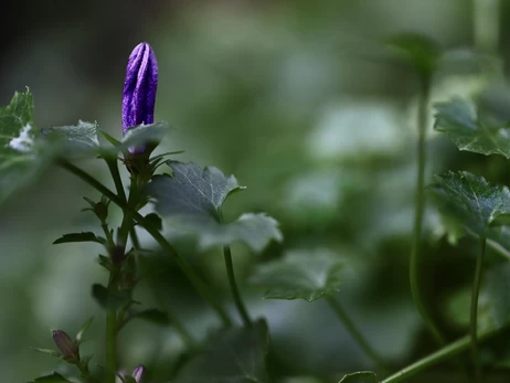 Погода в Украине 24 марта - до +16 градусов и без осадков