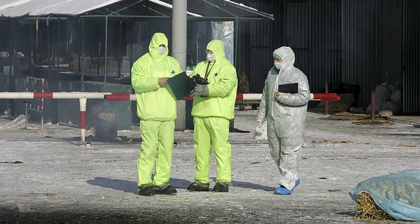 Массовая «утилизация» скота в РФ: фермеры теряют все, но вместо бунта жалуются «царю-батюшке» 