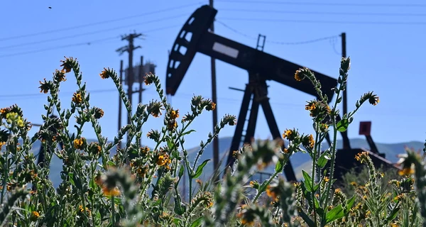 Дефіцит продуктів харчування та відмова від автомобілів: чим обернеться паливна криза