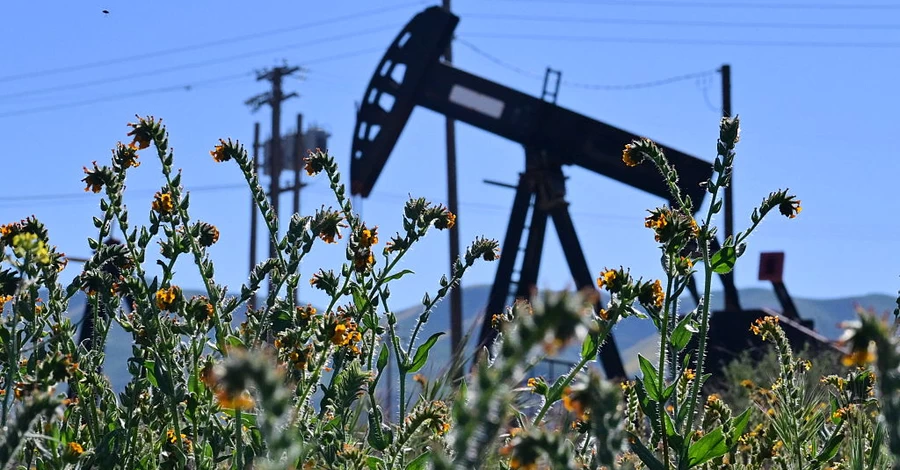 Дефіцит продуктів харчування та відмова від автомобілів: чим обернеться паливна криза